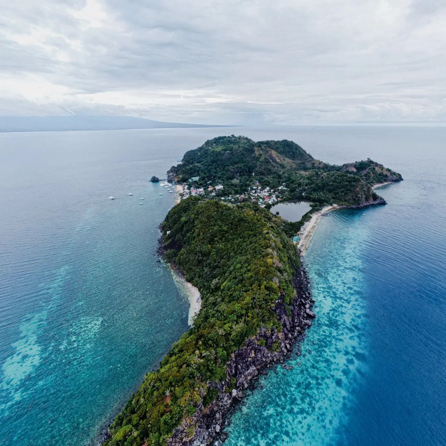 Apo Island Dive Sites Buddy & Tour