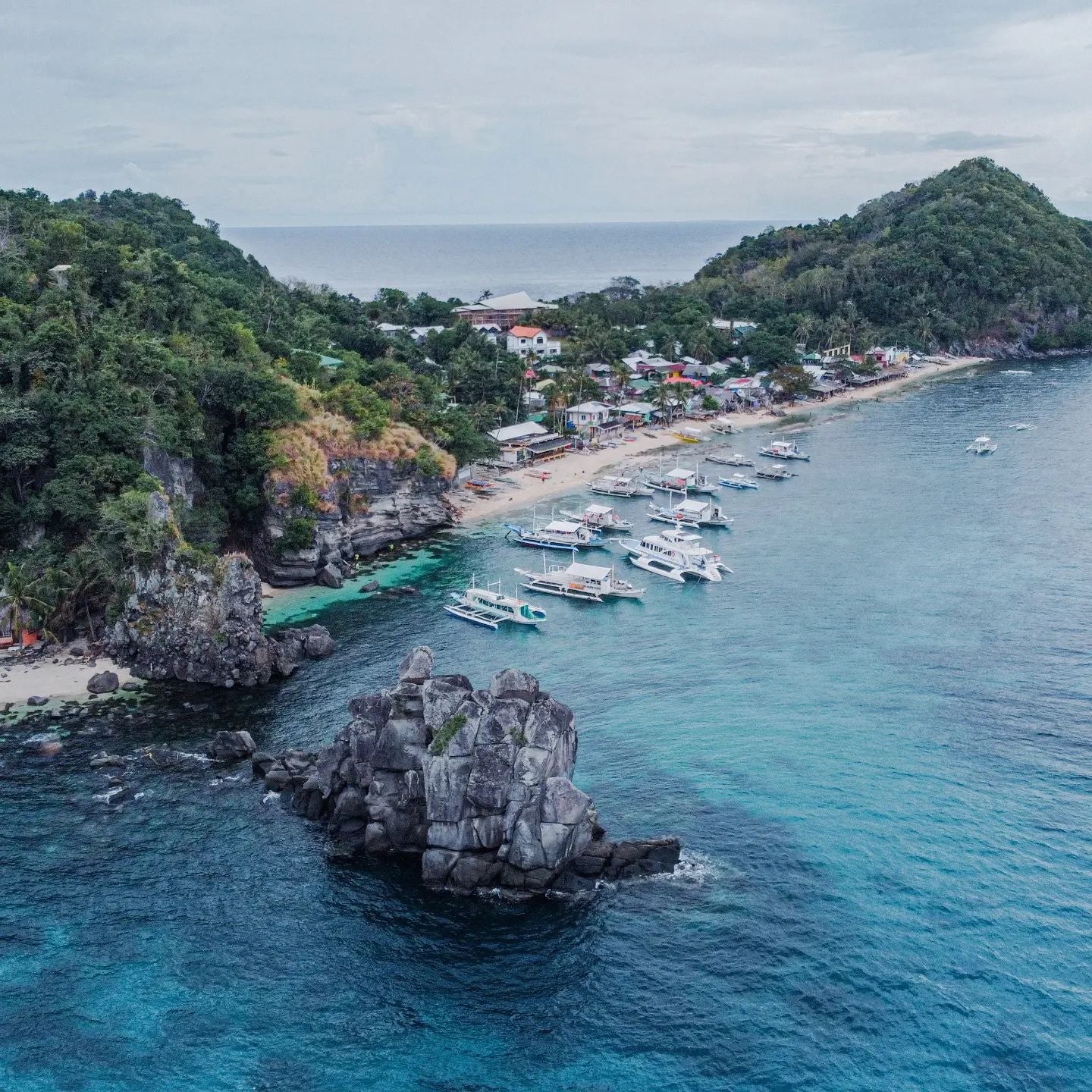 Apo Island Dive Sites Buddy & Tour