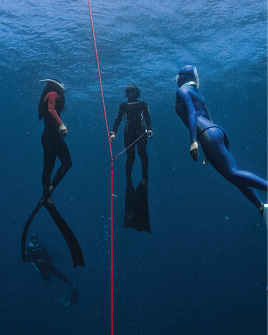 What Type of Wetsuit Should I Buy for Freediving? – Molchanovs